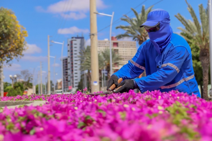 Estação das flores: prefeitura reforça cuidados com praças e jardins de Petrolina