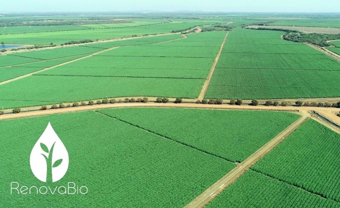 Agrovale recebe certificação do Renovabio e reduz emissões de CO2