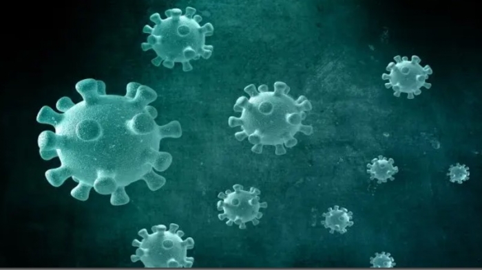 China alerta à identificação de novo vírus em humanos