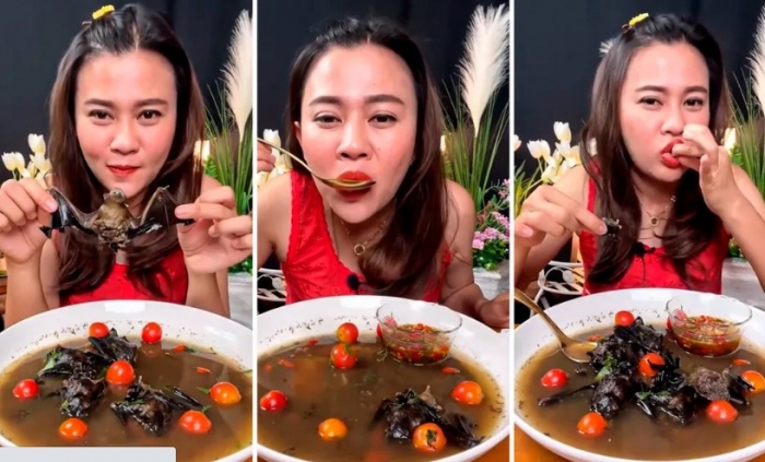Influencer é presa na Tailândia após publicar vídeo tomando sopa de morcegos